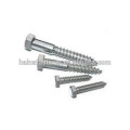 types of high quality lag Screw wood screw st2.9-6.3